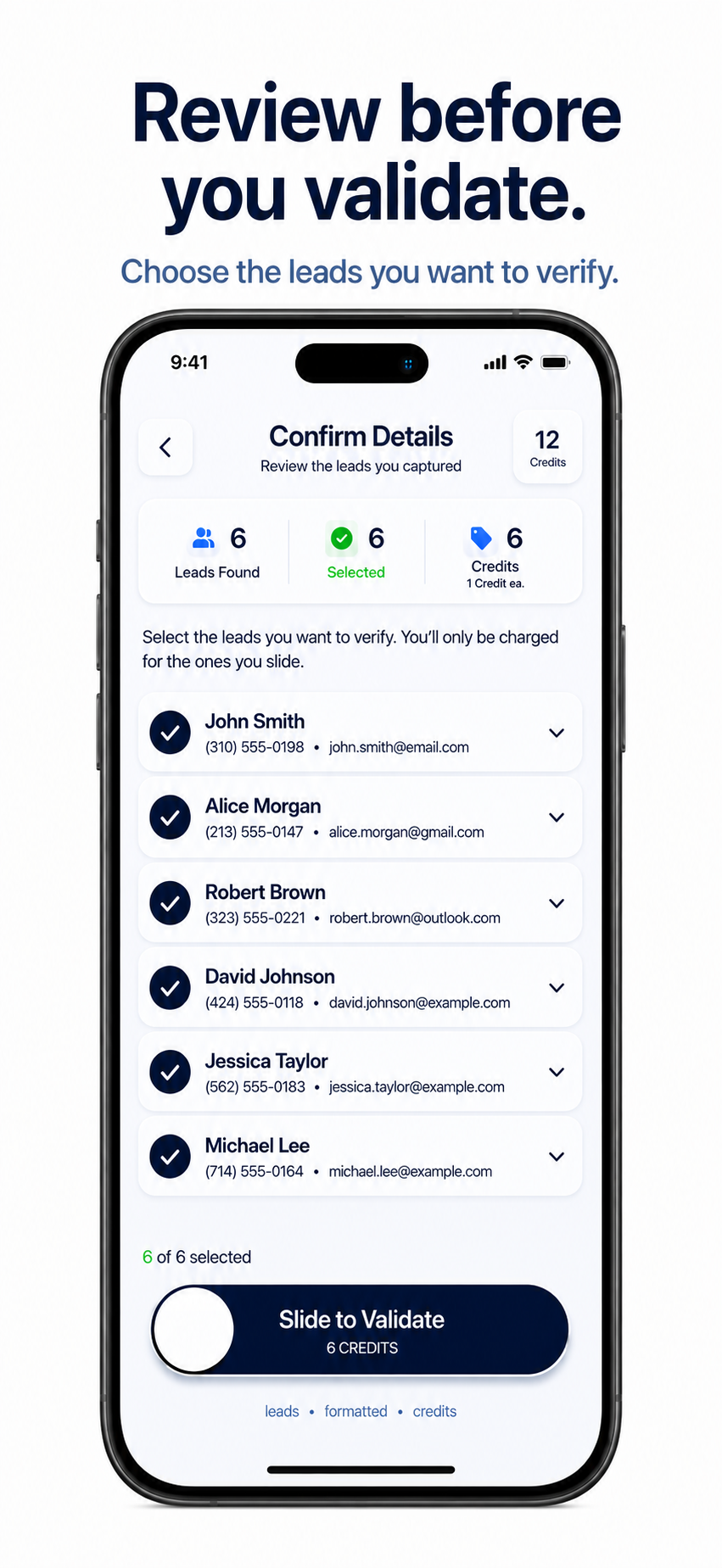 Confirm Details: review captured contacts, select leads and see the Credit cost before validating